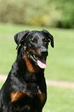 BEAUCERON 856